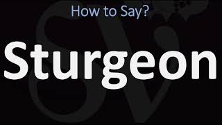 How to Pronounce Sturgeon CORRECTLY [upl. by Still]