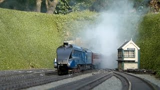 Busy Day at Sutterby  an O Gauge Garden Railway [upl. by Atteyek696]