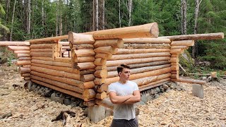 One Year Alone In The Forest Building A Log Cabin [upl. by Nalym]