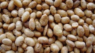 Dry Roasted Soybeans Benefits  Nutritional Information [upl. by Clarabelle]