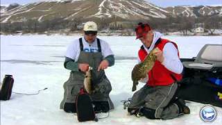 Jigging For Burbot [upl. by Darnall]