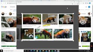 How to Use Snip amp Sketch for Windows 10 [upl. by Nodnrb]