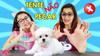 DESAFIO TENTE NÃO PEGAR TRY NOT TO CATCH CHALLENGE  Luluca [upl. by Ollecram]