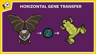 What is Horizontal Gene Transfer [upl. by Zipah]