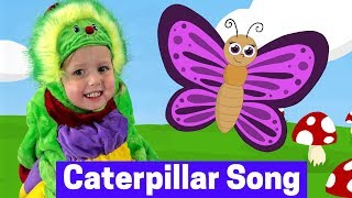 Caterpillar to Butterfly Song  Hungry Caterpillar  Puppet for kids [upl. by Clower289]