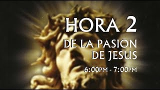 02 de 24 I Horas de la Pasión de Jesús Luisa Piccarreta Divina Voluntad [upl. by Orsola]