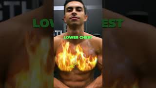 The BEST Way To Train Upper amp Lower Chest [upl. by Greenfield]