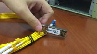 How to install and remove 10G SFP SR Modules [upl. by Silbahc]