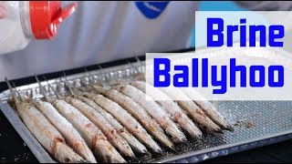 How to Prep Ballyhoo  How to Brine Baits [upl. by Ssej]