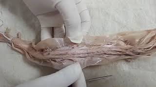 NEUROANATOMY  SPINAL CORD EXTERNAL FEATURES  BY DR MITESH DAVE [upl. by Swope]