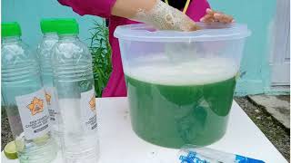 Tutorial membuat sabun cuci piring dari bahan alami pandan dan jeruk nipis [upl. by Bell]