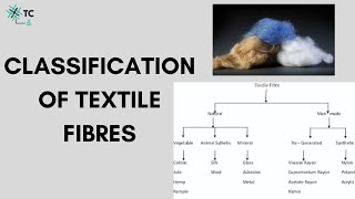 Classification of Textile Fibres Explained [upl. by Yvehc902]