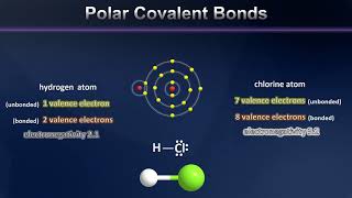 A Brief Introduction to Polar Covalent Bonding [upl. by Henry198]