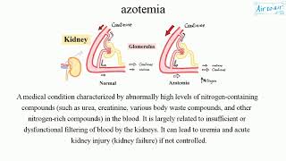 azotemia [upl. by Aehsal]