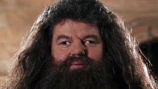 MAD HAGRID [upl. by Friend]