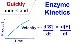 Enzyme kinetics [upl. by Eimaral872]