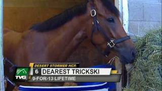 TVG Horseracing Today [upl. by Lelah]