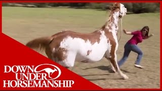 Once Bitten Twice Shy How to Train a Dangerous Dominant Horse [upl. by Jerome]