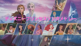 ディズニープリンセスソングメドレー [upl. by Nibor194]