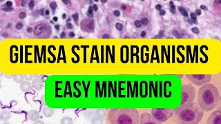 Giemsa StainOrganismsEasy Mnemonic [upl. by Bibah]