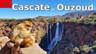 Le Cascate di Ouzoud  Viaggio in Marocco [upl. by Soluk]