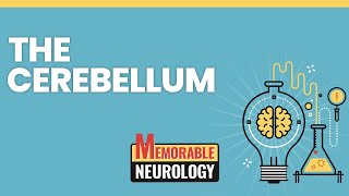 Cerebellum Mnemonics Memorable Neurology Lecture 6 [upl. by Theo]