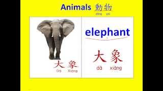 Learn Animal Name Shape and Sound  Animal Shape Guessing Game  動物形狀名字和聲音  猜一猜 [upl. by Delfine]