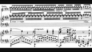 Liszt  Sonetto 104 del Petrarca S 161 No 5 André Laplante [upl. by Yrrek]