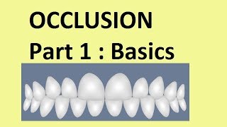 Occlusion  Part 1Basic concepts [upl. by Lumbye]