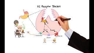 Pharmacology  ANTIHISTAMINES MADE EASY [upl. by Oiracam]