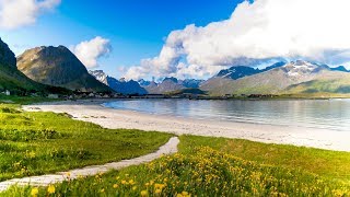 Uplifting Music  light positive happy music Gullrosøya  1 hour [upl. by Sausa32]