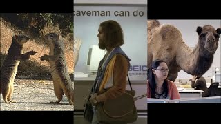 Memorable GEICO Commercials  Compilation [upl. by Akehsat]