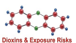 Dioxins amp Exposure Risks [upl. by Erlinna]