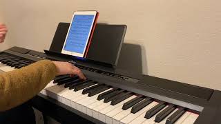 Testing Donner DEP20 Beginner Digital Piano 88 Key from Amazon [upl. by Ariajaj836]