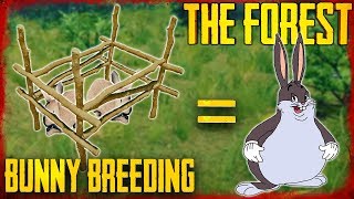 HOW TO BREED RABBITS  The Forest [upl. by Voleta]