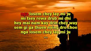 Nowie shingkha  Bhutanese Karoake  lyrics [upl. by Locin]