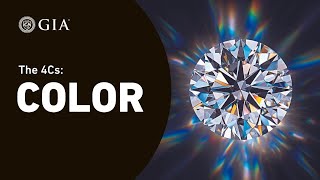 4Cs of Diamond Quality Diamond Color Grading by GIA [upl. by Mattie772]