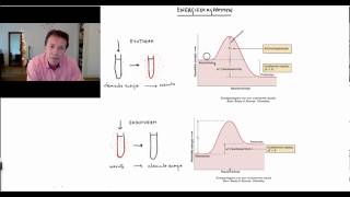 Energiediagrammen  Scheikundelessennl [upl. by Lanod]