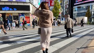 【Tokyo walk】Shinjuku Kabukicho Tokyo [upl. by Torrey]