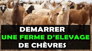 Voici 8 Etapes pour commencer une ferme délevage de chèvre à succès en Afrique [upl. by Notaes]