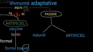 immunité adaptative acquisL2 [upl. by Tremayne]