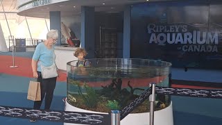 RIPLEYS Aquarium in Toronto 🇨🇦 [upl. by Yeldud465]