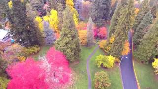 Lithia Park Ashland Oregon longer version [upl. by Adla]