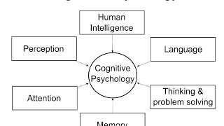 Cognitive Psychology Introduction [upl. by Ised]