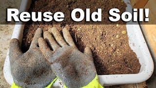 How To Reuse Old Potting Soil  FOUR ways [upl. by Susannah]