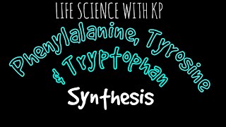 PHENYLALANINE TYROSINE amp TRYPTOPHAN SynthesisVlog 10 [upl. by Ahsehyt]