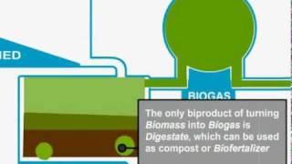 Biomass Gasification [upl. by Elita]