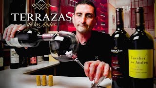 Terrazas de los Andes Malbec  Argentina Wine Review [upl. by Ottie]