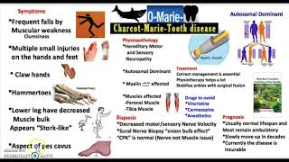 CMT Types Medicine in 3 minutes [upl. by Jelene]