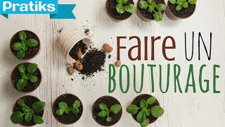 Comment faire un bouturage [upl. by Ymac265]